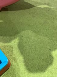 -幻贝家儿童乐园(温州银泰城店)