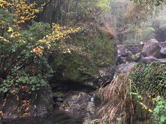 -山沟沟景区
