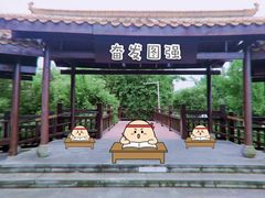 -铁山坪森林公园