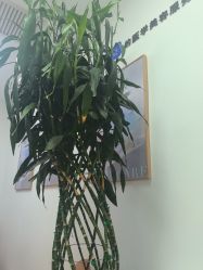 -天津伊美尔医疗整形美容专科医院