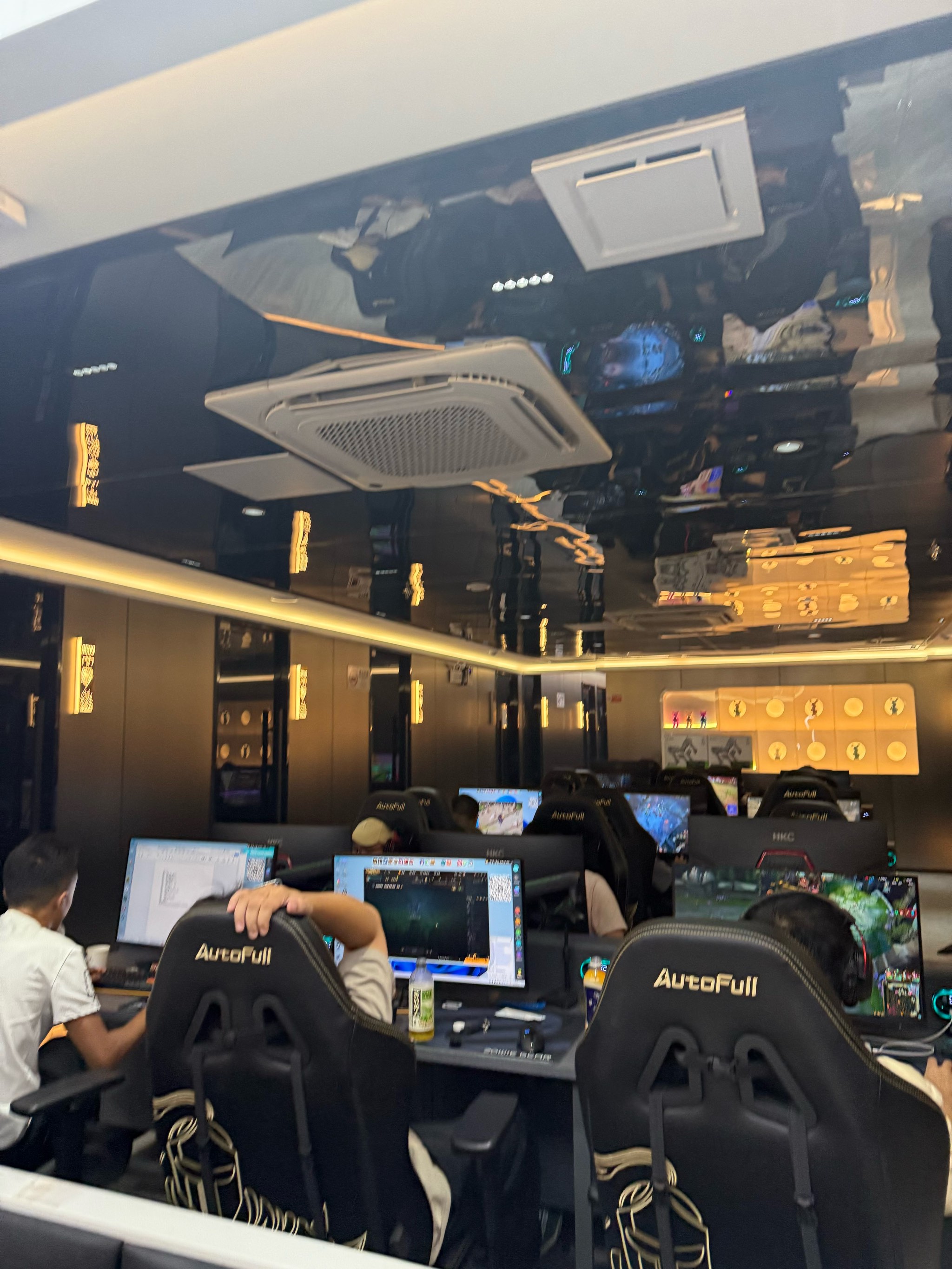 fps游戏VIP指哪里(fps游戏vip什么意思)