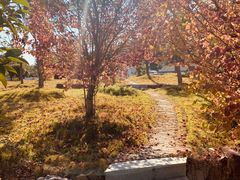 -呼吸森林·生态农庄农家乐私房菜