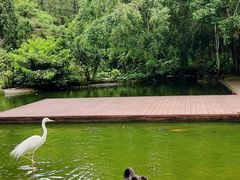 -海南热带野生动植物园