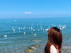 -青海湖国家重点风景名胜区