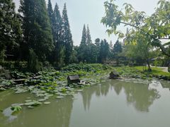 -乌村