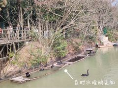 -艾溪湖湿地公园
