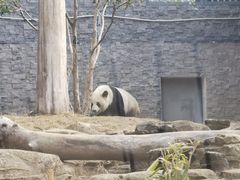 -武汉动物园