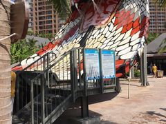 -亚马逊丛林水乐园