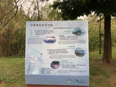 -同里国家湿地公园