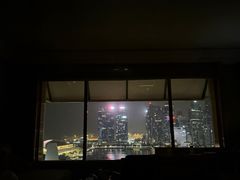 -新加坡丽思卡尔顿美年酒店