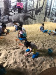 -恐龙探索乐园(磁器口店)