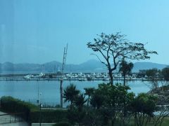 -希尔顿南海酒店·观廊大堂吧·海景下午茶