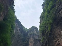 -王莽岭风景区
