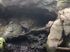 -西雅图水族馆