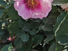 -人民公园(罗湖区)