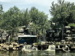 -北京野生动物园