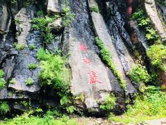 -望天鹅景区