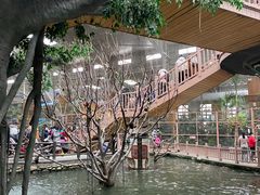 -南宫五洲植物乐园