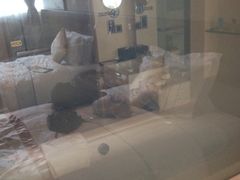 iphone_upload_pic-北京园博大酒店