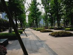 -百林公园-两江幸福广场