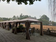 -巴山·烤全羊(高新总店)