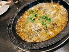 -大院河·仙鱼莊(九眼桥店)