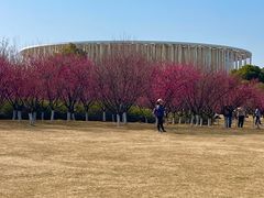 -长广溪湿地公园
