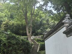 -南山风景名胜区