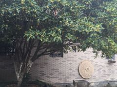 -龙潭水乡