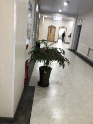 -维多利亚妇产医院-女性专科