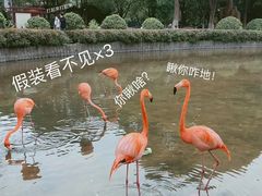 -常州淹城野生动物世界