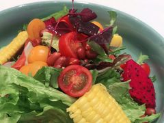 -紫光园·烤鸭·北京菜(劲松店)