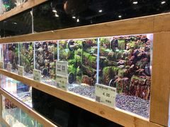 -龟与熊猫宠物公园(南坪店)