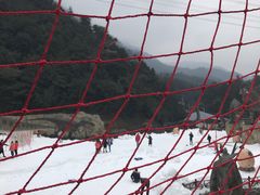 -梦幻奥陶纪景区