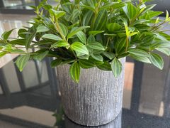 -金太太速食(北下关店)