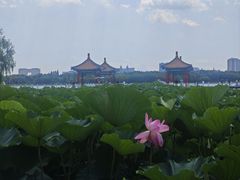 -长春市南湖公园