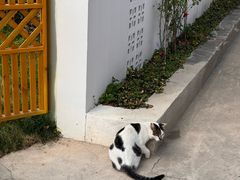 -上海蔡元培故居陈列馆