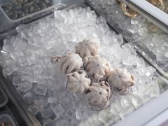 -铭聚章鱼土笋冻(松柏店)