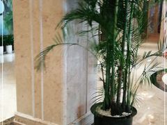 -山明水秀大饭店