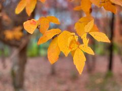 -长春市南湖公园