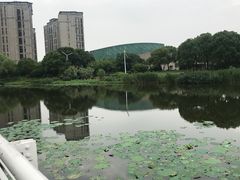 -新江湾城公园