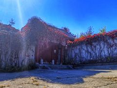 -北京西山国家森林公园