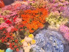 -大自然花鸟鱼虫市场