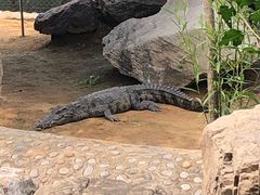 -石家庄市动物园