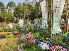 -南宁南湖公园