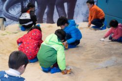 -恐龙探索乐园(磁器口店)