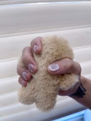 -U3日式美甲美睫