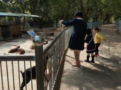 -广东茂名森林公园