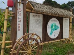 -卓筒井遗址公园