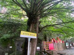 -大慈岩风景区